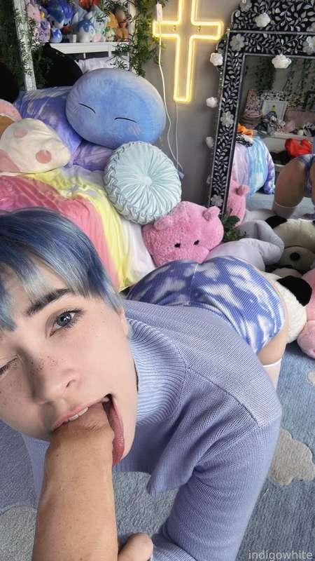 indigowhite image #98