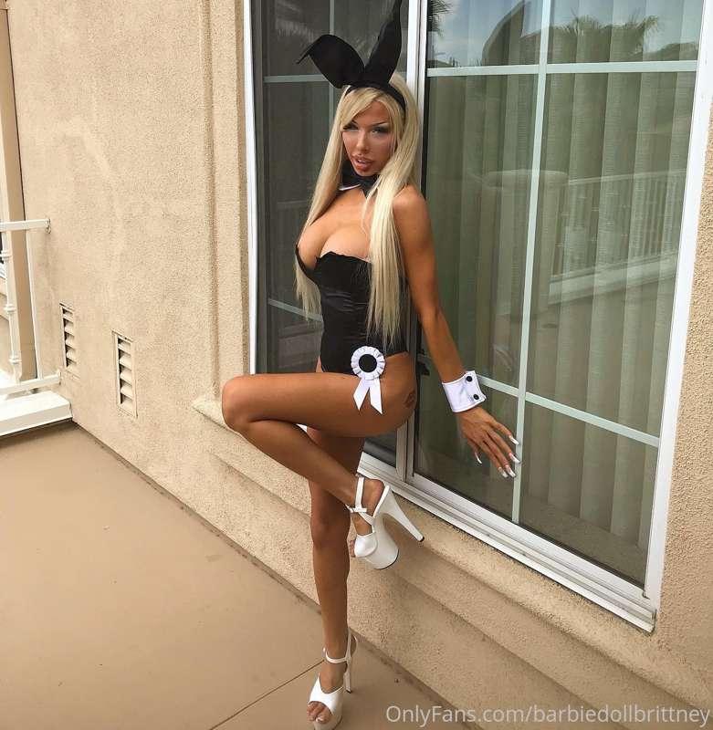 Your favorite house bunny ❤️