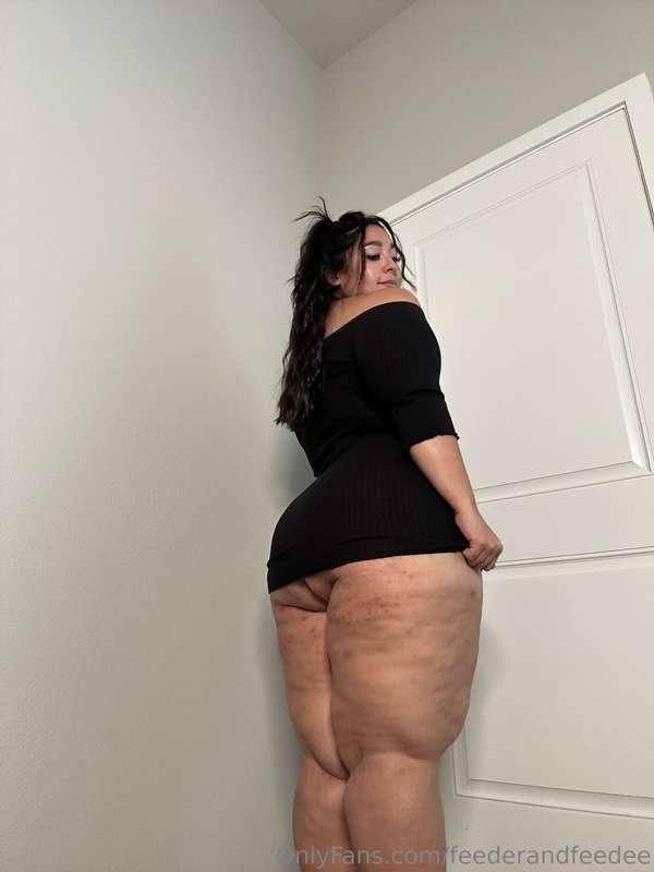 feederandfeedee image #3