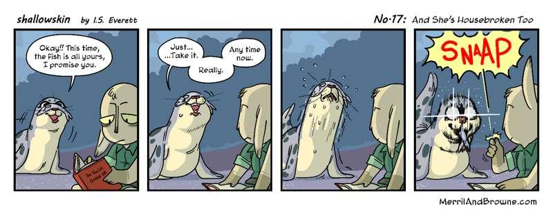 shallowskin Strip 17
