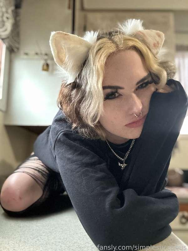 simplesuccubus image #5
