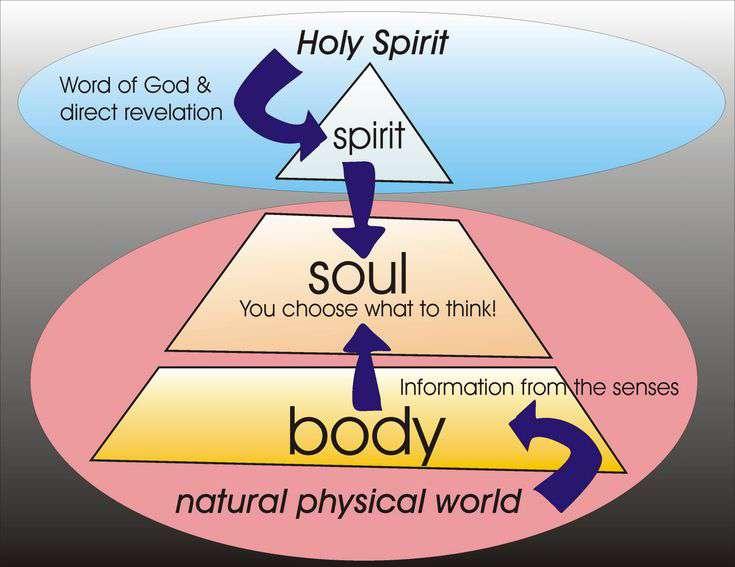 Gnostic Musings #4: Spirit vs. Soul--Which Goes Where?