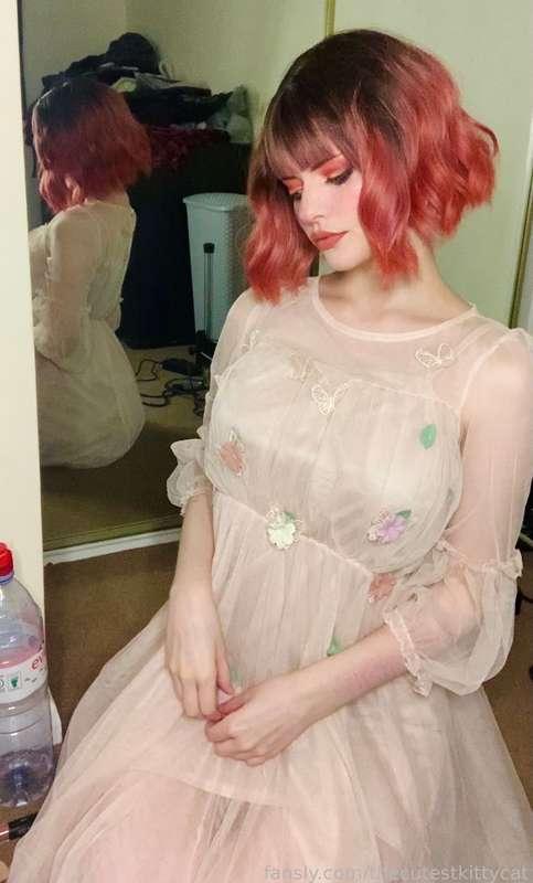 thecutestkittycat image #0