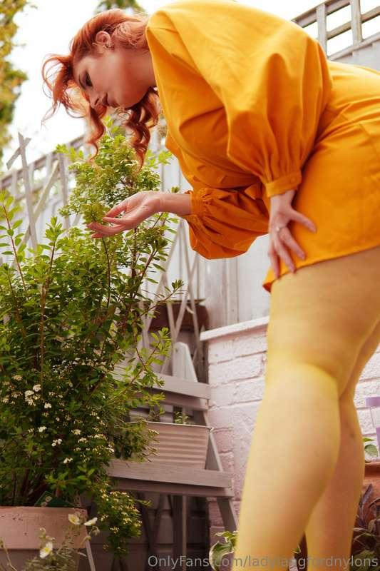 ladylangfordnylons image #5