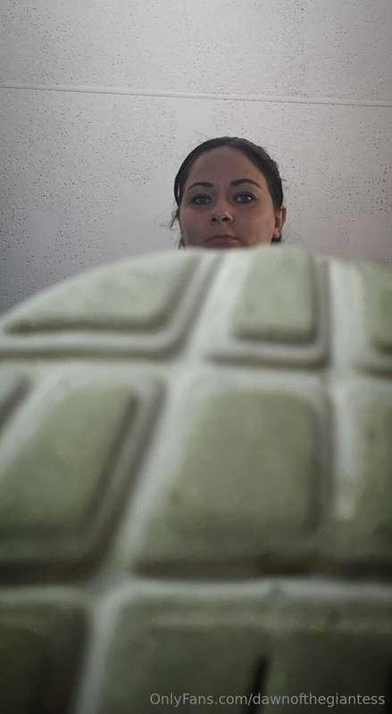 Peekaboo lol 