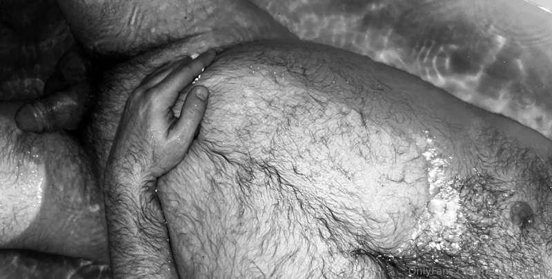 m1dwestbear image #0