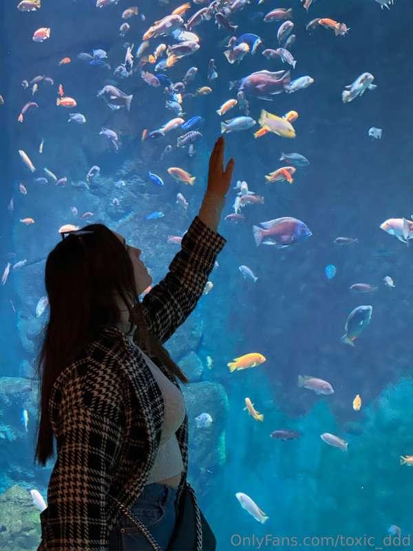 When I look at these fish, I imagine that one of them is me...