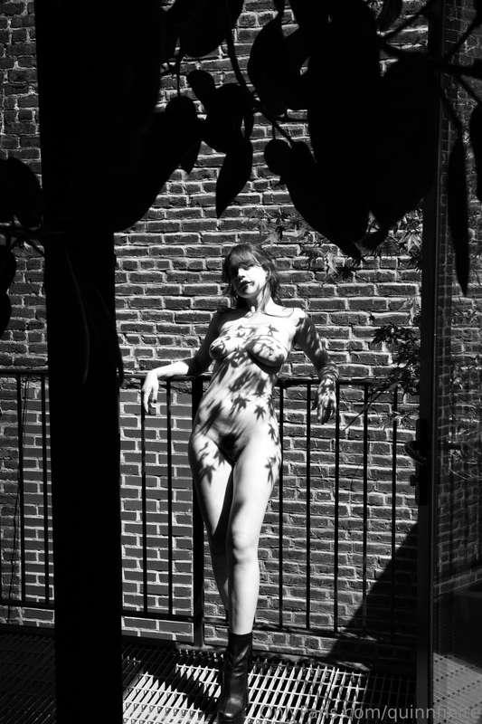 quinnfinite image #2