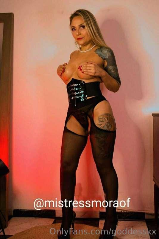(24h) @mistressmoraof
@mistressmoraof
@mistressmoraof

🖤 D O..