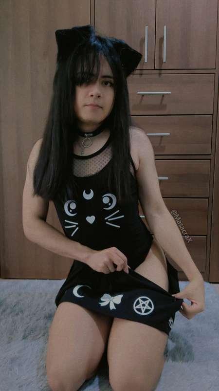 Gotica gatita 7u7