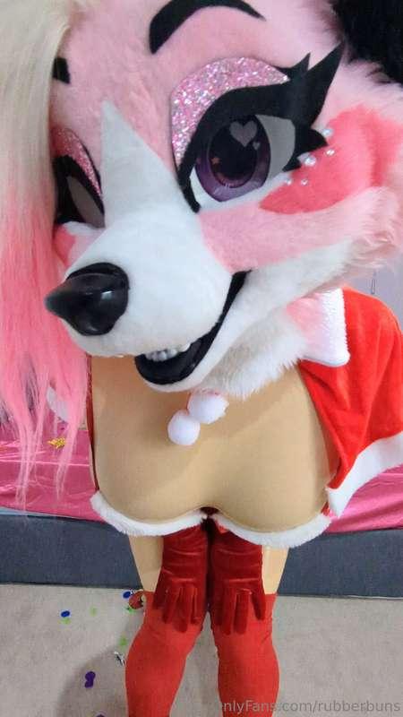 Christmas cheers from this bimbo fox 🥰