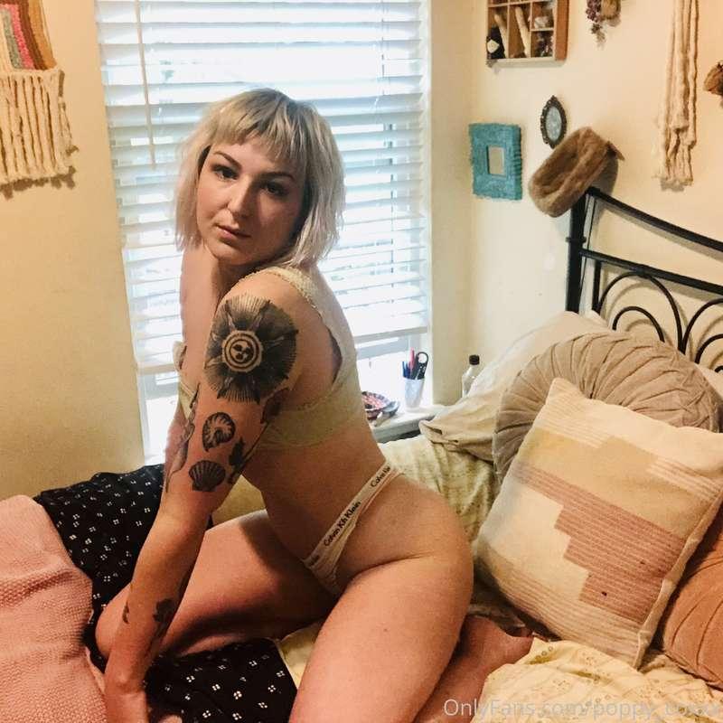 Hey y'all. I'm moving the next few days and I know I've been..