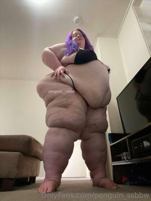 penguin_ssbbw image #8