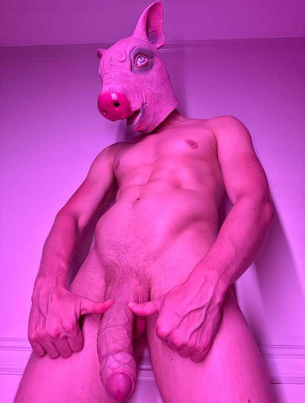 WHO’S YOUR SPIRIT ANIMAL? 🐷