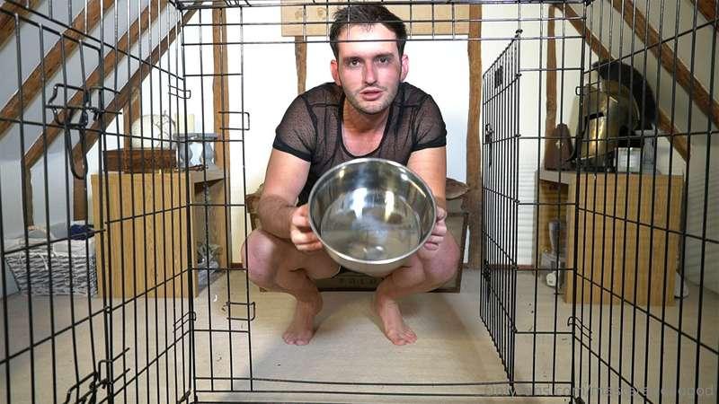 Who wants to see more Pup play?
