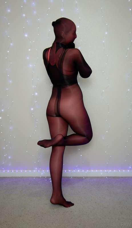 l1ly_paw image #1