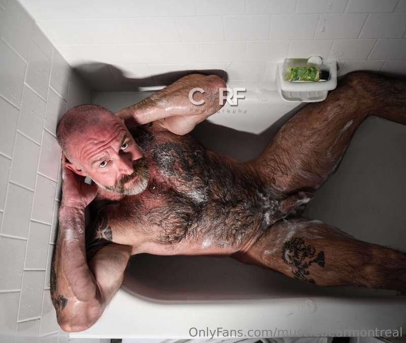 musclebearmontreal image #1
