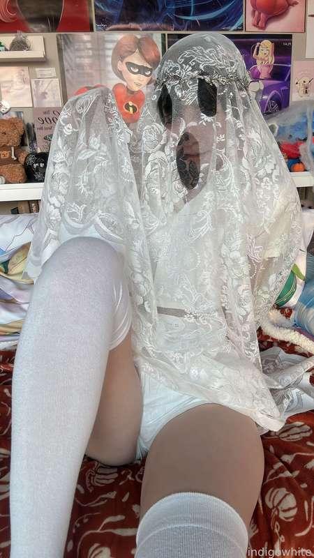 indigowhite image #161