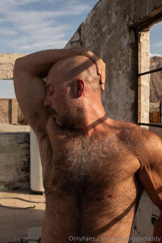 hairypiggydaddy image #4