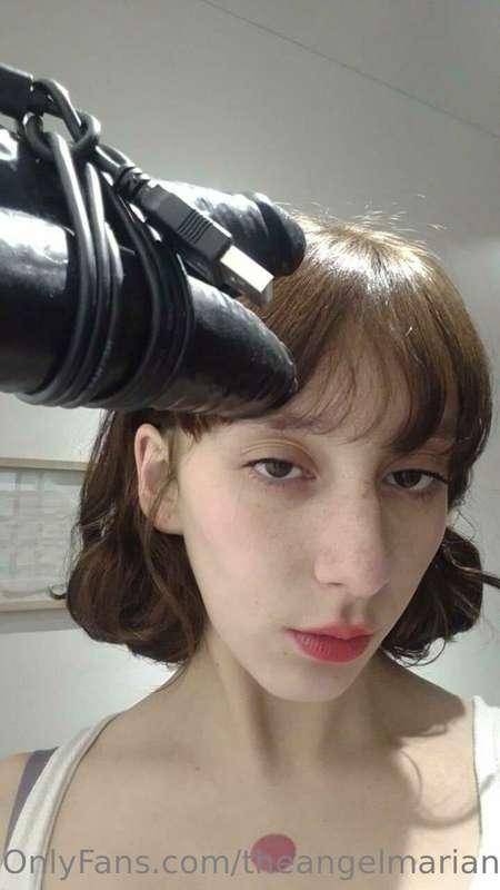 I adore the penises that I found exhibited in an art gallery