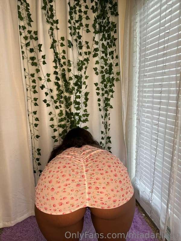 Would you bend me over in my sundress 😈