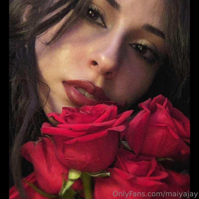 maiyajay image #0