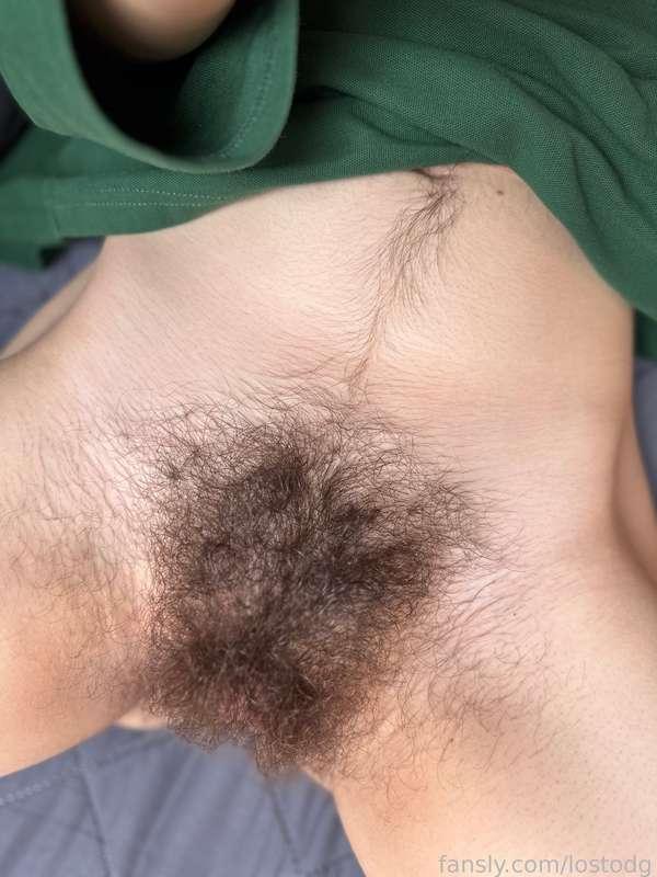 lostodg image #5