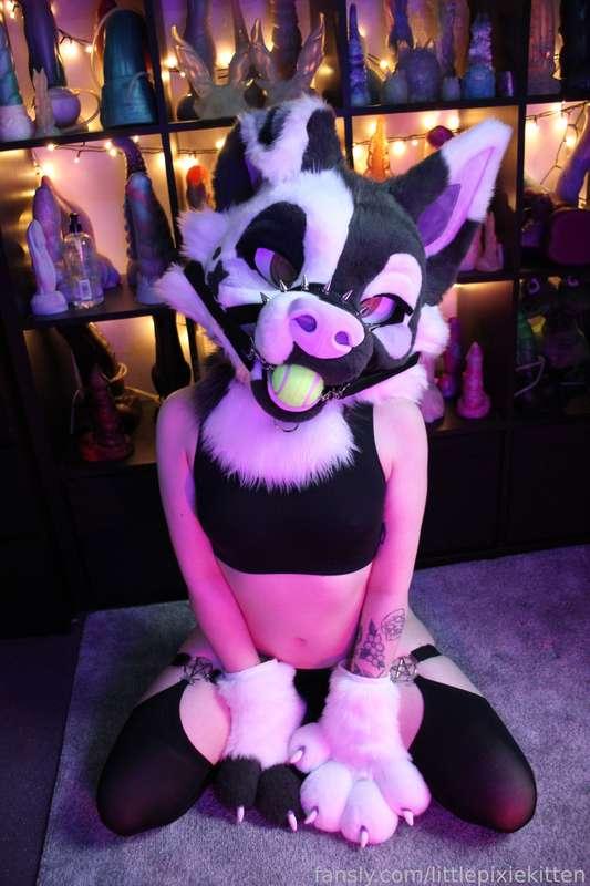littlepixiekitten image #1