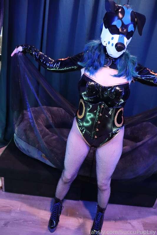 succupuplily image #19