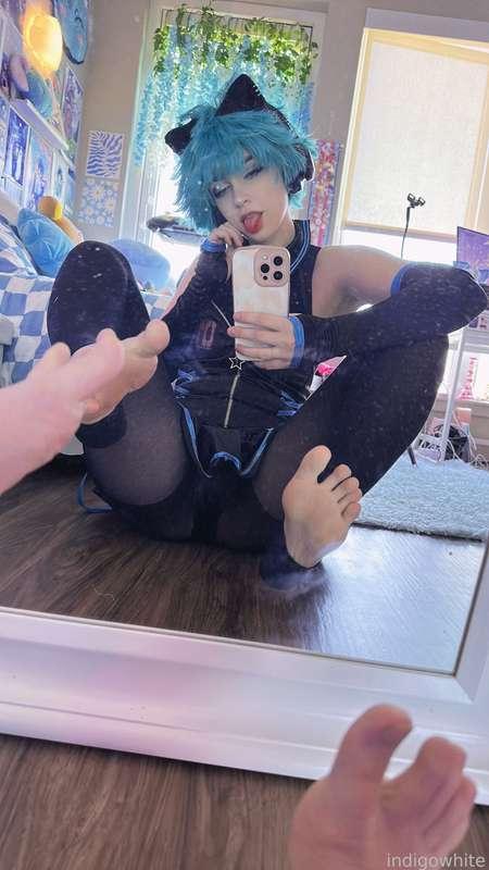 indigowhite image #21