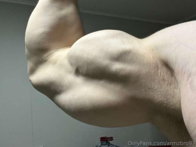 armzbro97 image #8