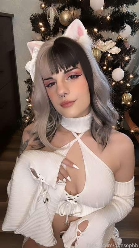 quesophh image #1