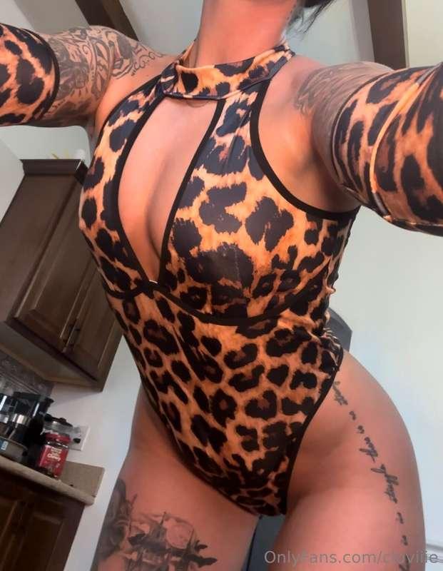 Want more? 🐆