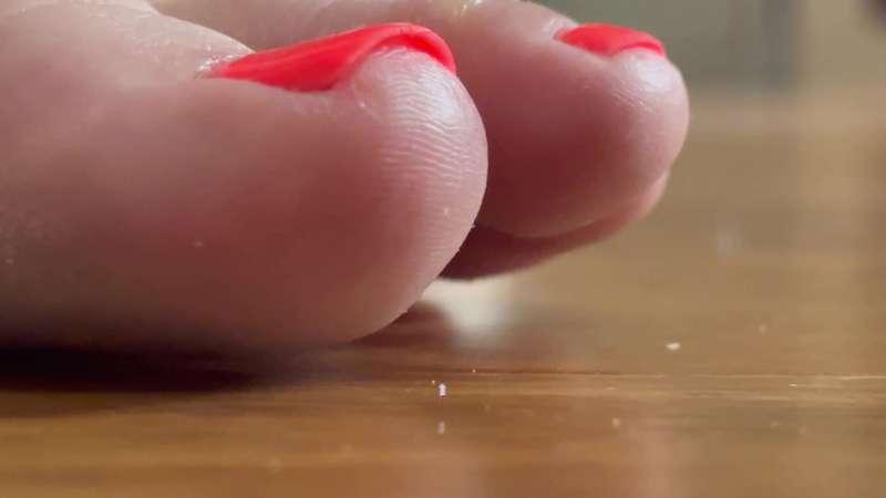 Scarlett Micro