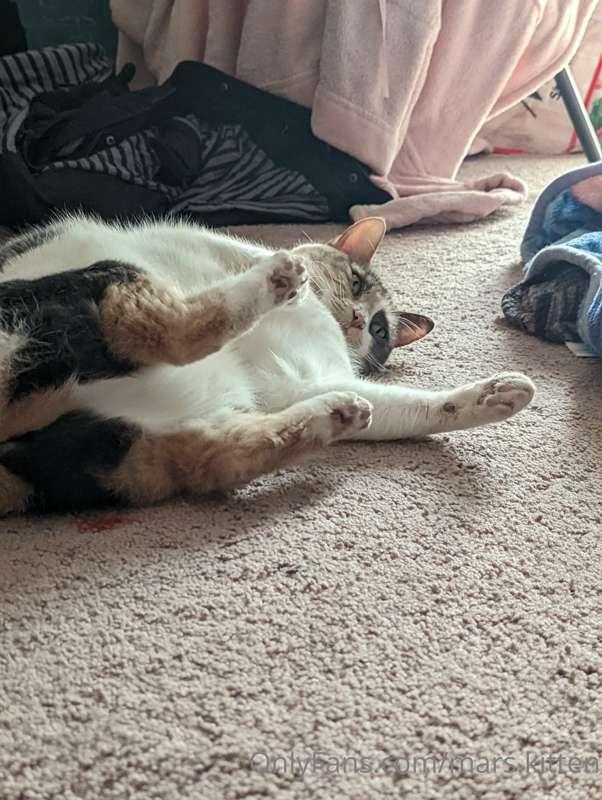 'Does this angle make me look fat?'