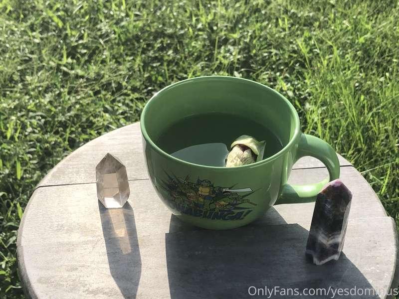 I started this okra from seed. It’s survived storms, bugs tr..