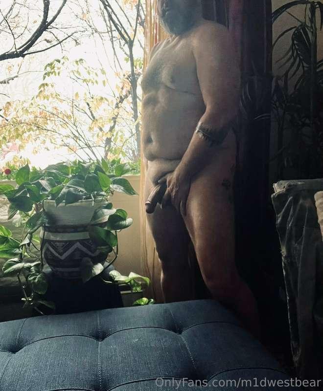 m1dwestbear image #6