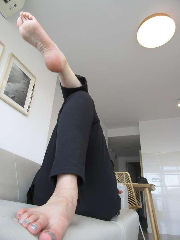 neolasoles image #17