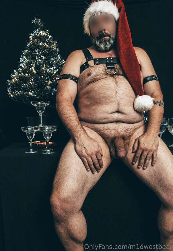 m1dwestbear image #7