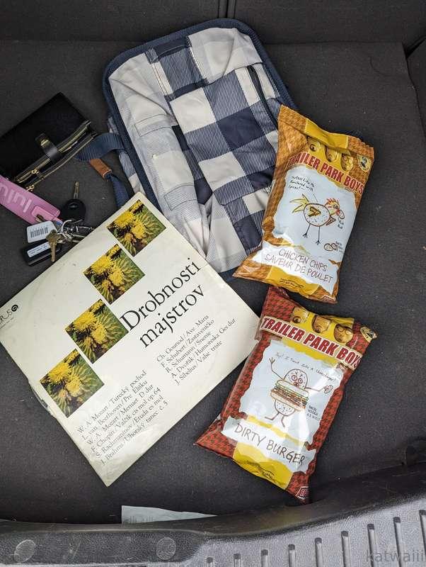 Just essentials in the trunk