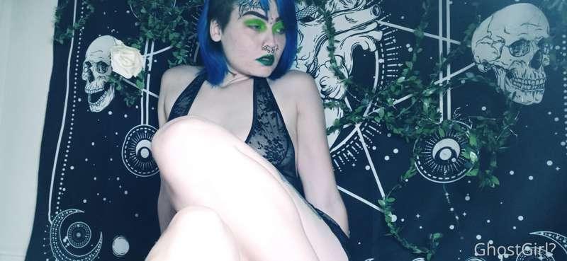 🍃🌿🌱