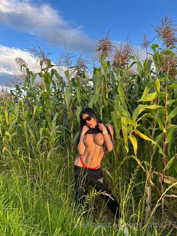 Comenta cuál de las tres te gusta más !! 🤤🥰