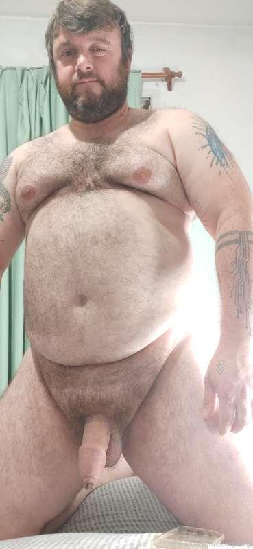 bearpamp main image