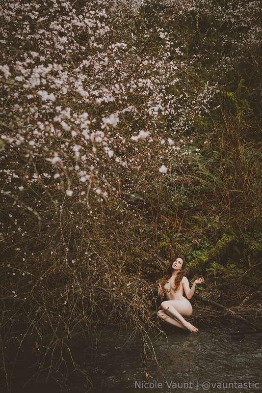 Cherry Blossoms are some of my favorite signs of the coming ..
