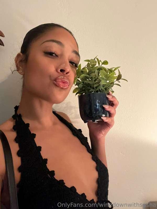 Hi babes ☺️
Got a new plant baby today 

What should I name ..