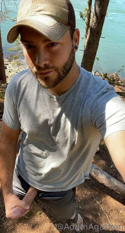 Nice day for a walk in the woods