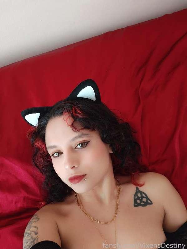 vixensdestiny image #4