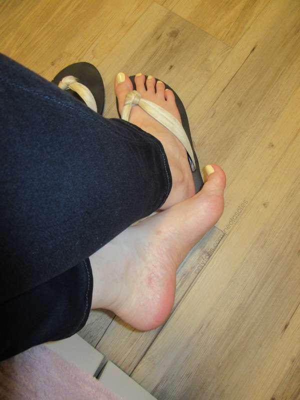 neolasoles image #11