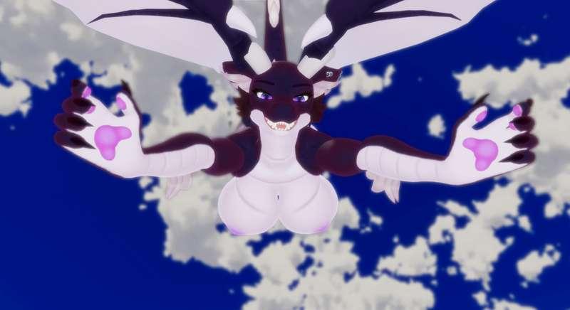 (Photo) Ender Dragon Dive
