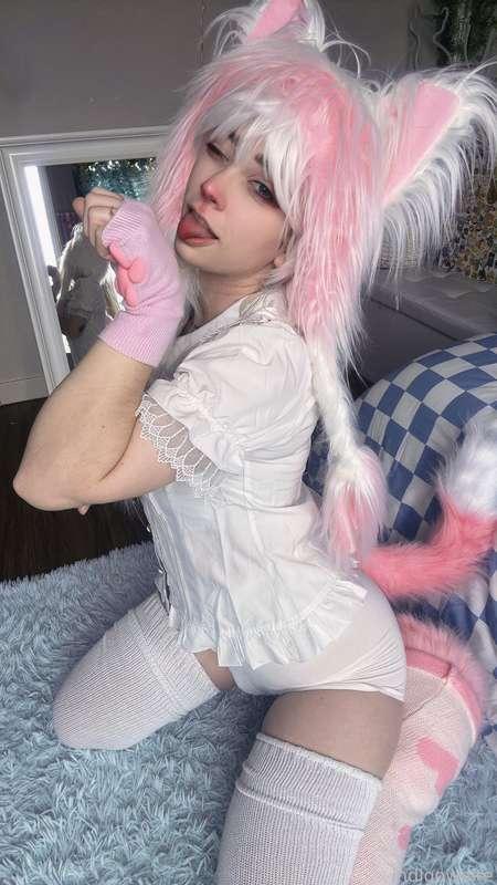 indigowhite image #129